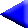 Anterior
